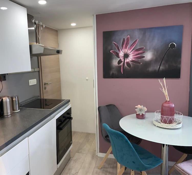 Nice Apartmet N&N Leilighet Zadar Eksteriør bilde